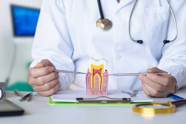 Best Emergency Treatment for Toothache in Minerva Park, OH